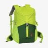 BÄR FREIZEIT GO - Tagesrucksack - Grün/lime